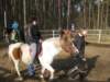 zimawmiecie2014dzie560_small.jpg