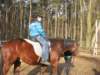 zimawmiecie2014dzie561_small.jpg