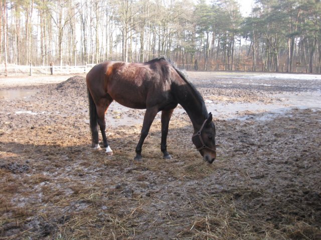 zimawmiecie2014dzie565.jpg