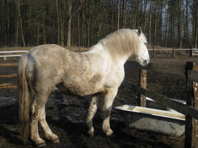 zimawmiecie2014dzie566.jpg