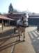 zimawmiecie2014dzie584_small.jpg