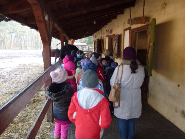 zimawmiecie2014dzie594.jpg