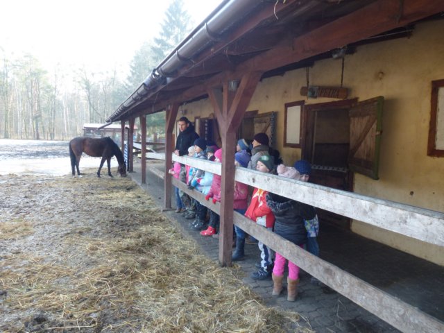 zimawmiecie2014dzie595.jpg