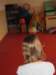 zimawmiecie2014dzie6119_small.jpg