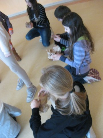 zimawmiecie2014dzie6148.jpg