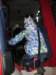 zimawmiecie2014dzie634_small.jpg