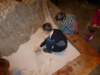 zimawmiecie2014dzie773_small.jpg
