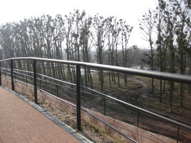 zimawmiecie2014dzie8139.jpg