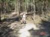 DSC02175.JPG Photo Number 13