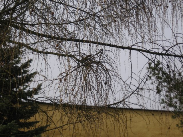 img_1486.jpg
