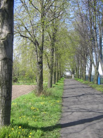 obraz064.jpg