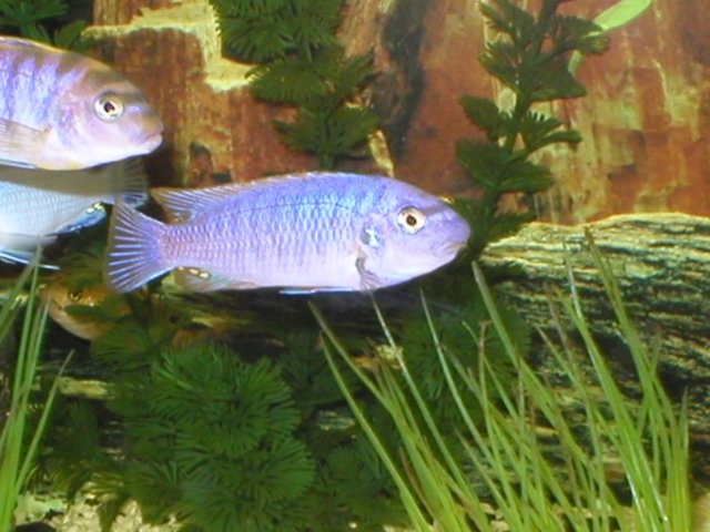 zdjcia012.jpg