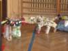 Photo Number 11