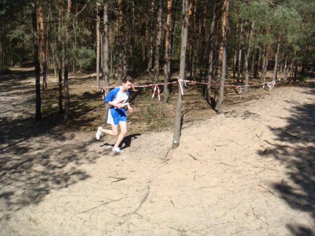 biegiprzeajowe2104200918.jpg