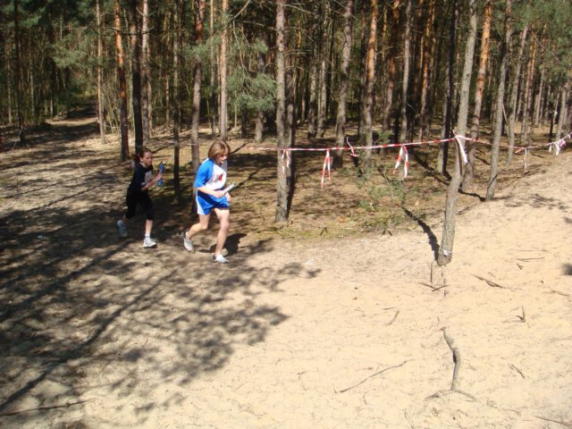 biegiprzeajowe2104200922.jpg