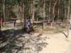 biegiprzeajowe2104200924_small.jpg
