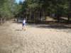 biegiprzeajowe210420097_small.jpg