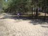 biegiprzeajowe210420099_small.jpg