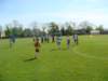 minipikanonav20113_small.jpg