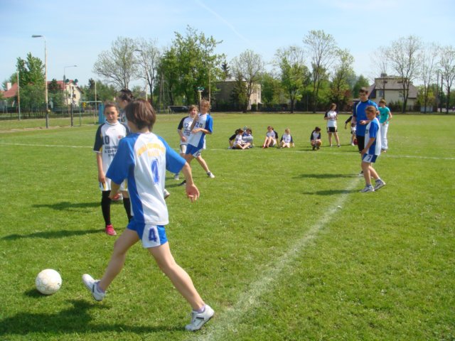 minipikanonav20114.jpg