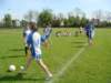 minipikanonav20114_small.jpg